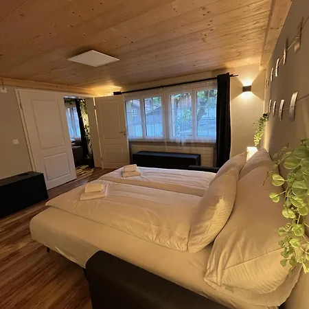 Appartement Mountain Homes *